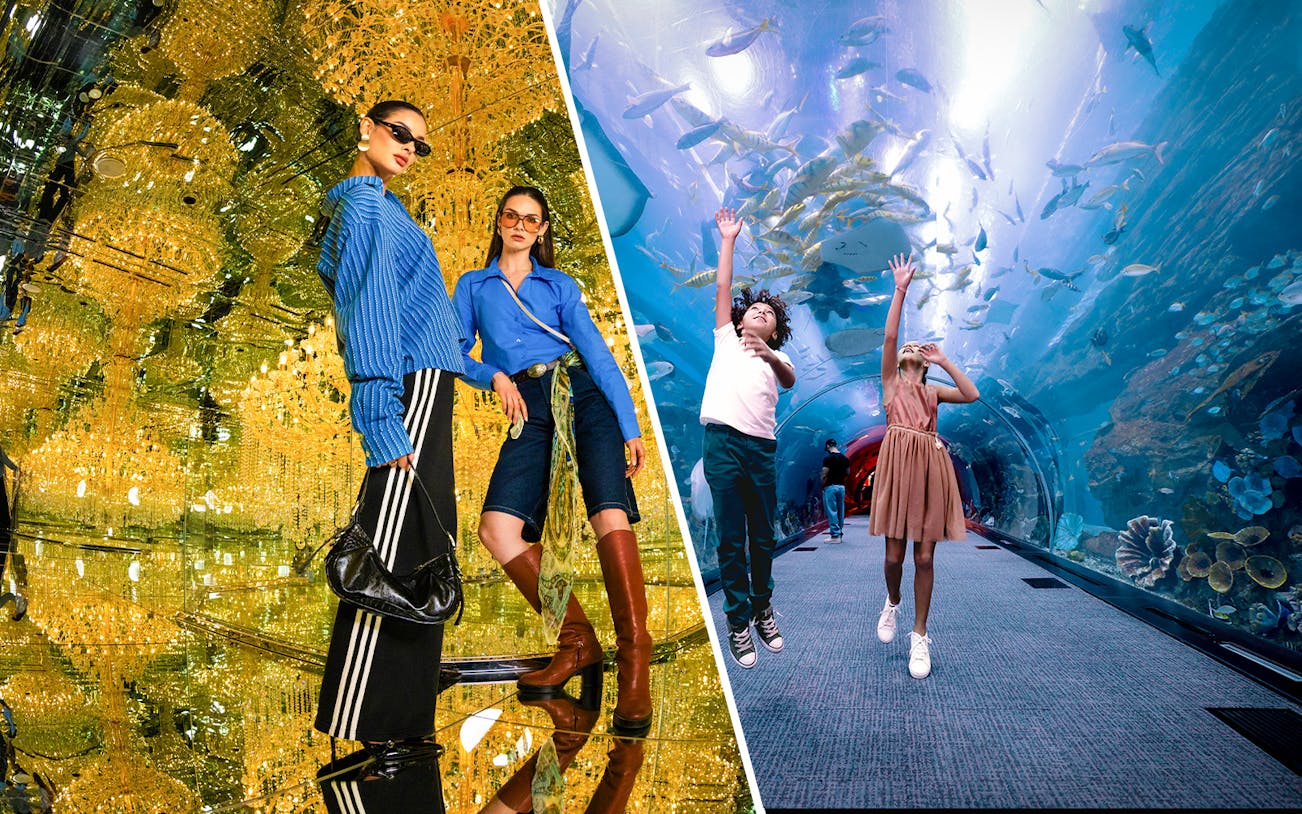 House of Hype and Dubai Aquarium with Penguin Cove tickets combo offer.