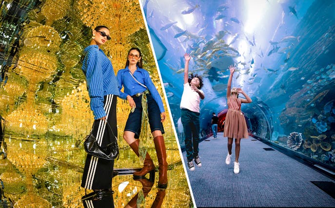 House of Hype and Dubai Aquarium with Penguin Cove tickets combo offer.