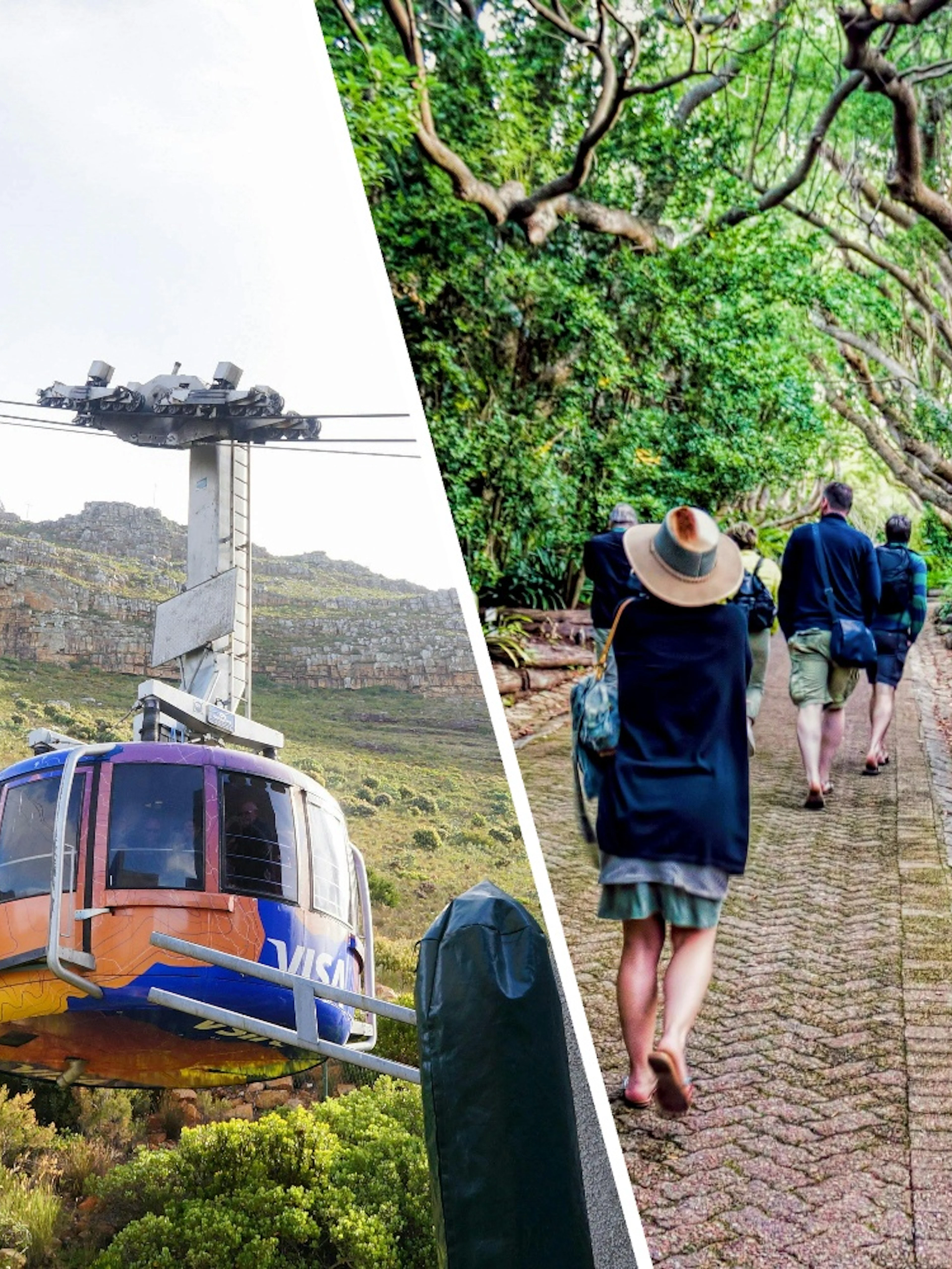 Table Mountain cable car ascending with hikers walking through lush garden path.