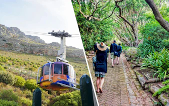 Table Mountain cable car ascending with hikers walking through lush garden path.