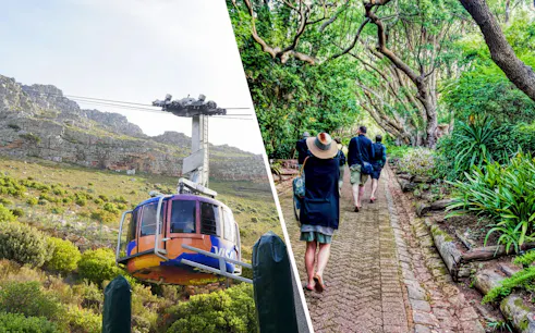 Table Mountain cable car ascending with hikers walking through lush garden path.