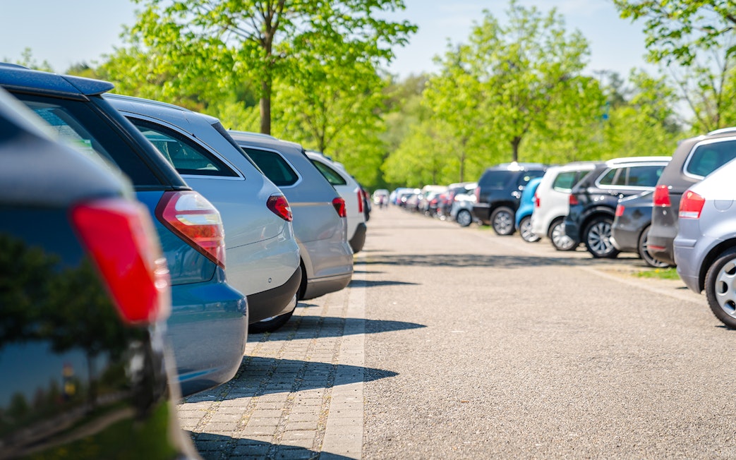 Row of parked cars under green trees in a sunny parking lot.