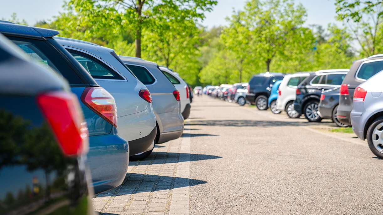 Row of parked cars under green trees in a sunny parking lot.