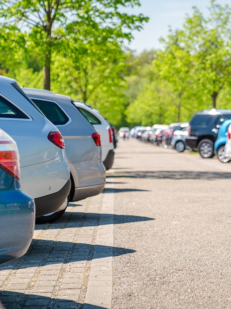 Row of parked cars under green trees in a sunny parking lot.