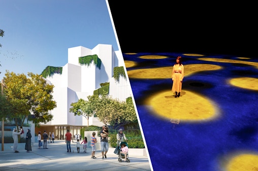 Combo: Doğal Tarih Müze + teamLab Phenomena Abu Dabi Biletleri