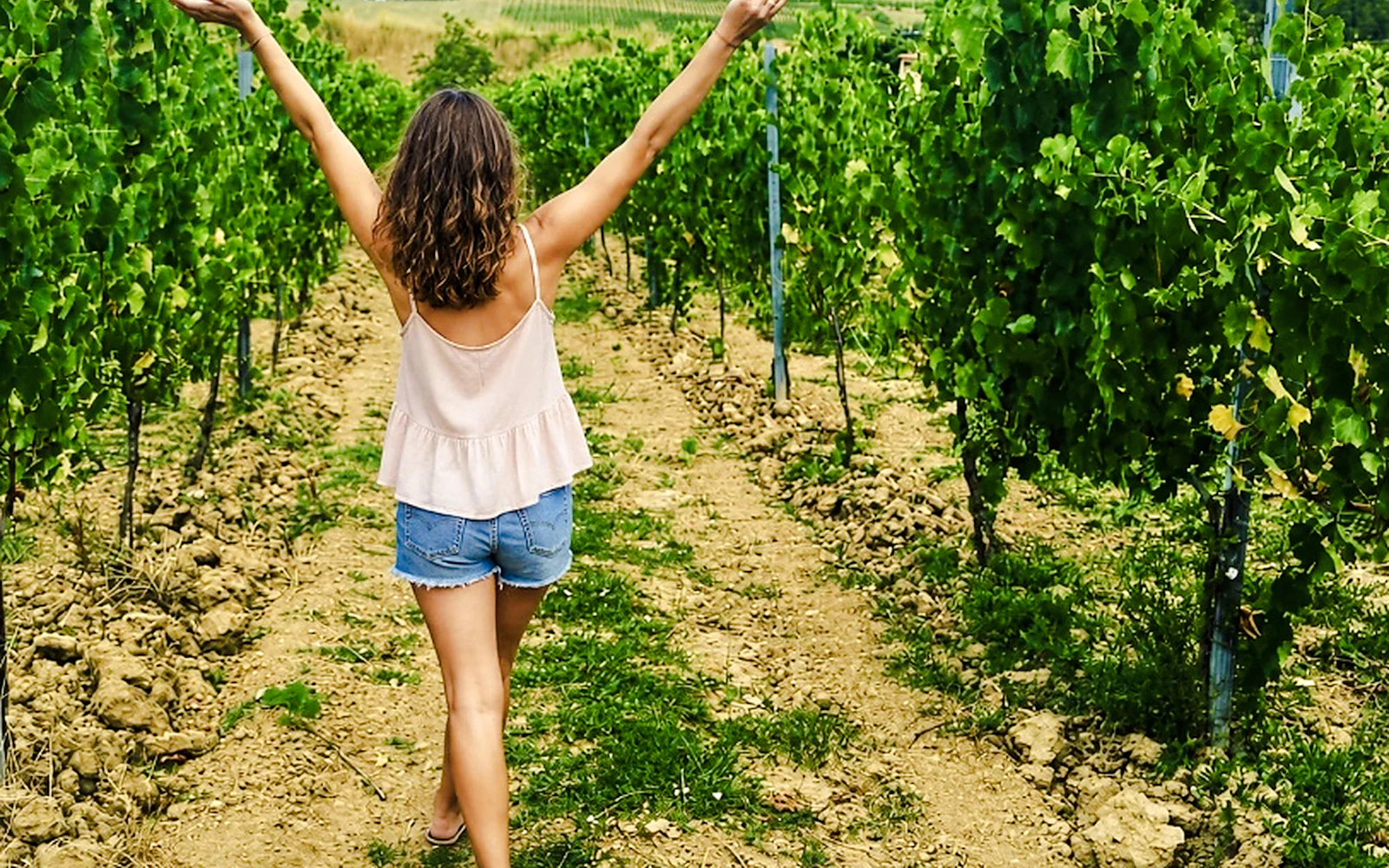 From Florence: San Gimignano Winery Barrel Tasting Tour