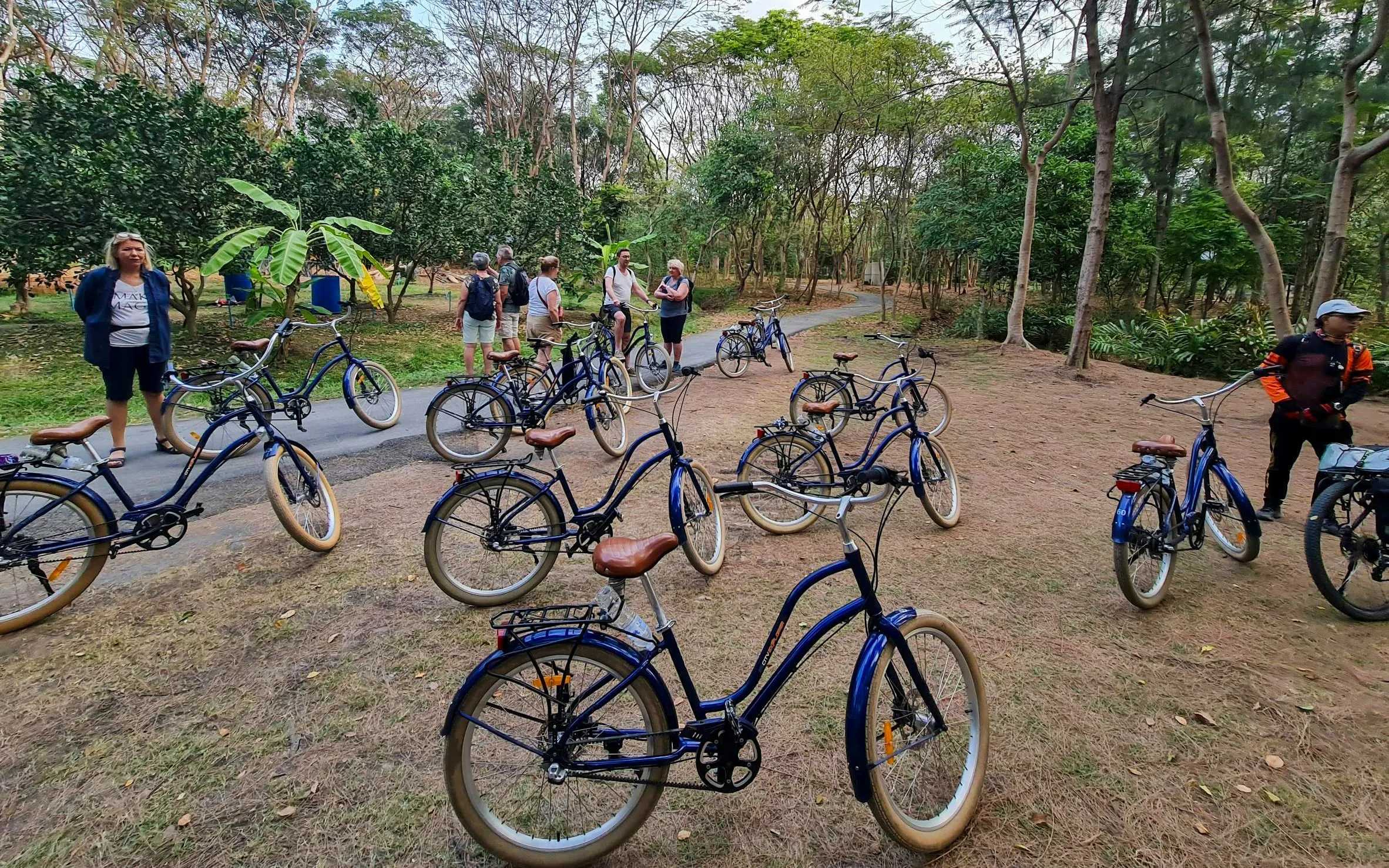 Bicycles parked in a lush park in Bangkok, with tourists preparing for a cycling tour.