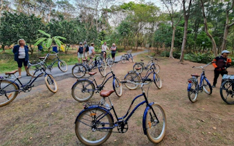 Bicycles parked in a lush park in Bangkok, with tourists preparing for a cycling tour.