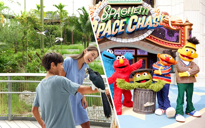 Bird Paradise interaction and Sesame Street characters at Universal Studios.