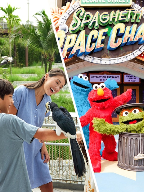 Bird Paradise interaction and Sesame Street characters at Universal Studios.