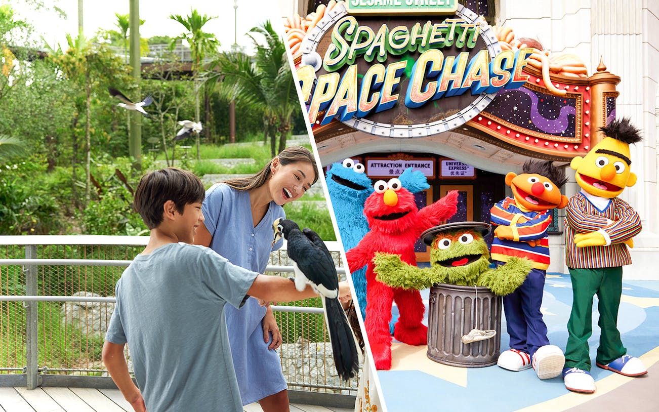 Bird Paradise interaction and Sesame Street characters at Universal Studios.