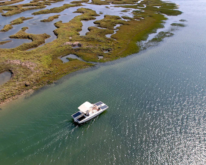 1-Hour Ria Formosa Eco Boat Tour
