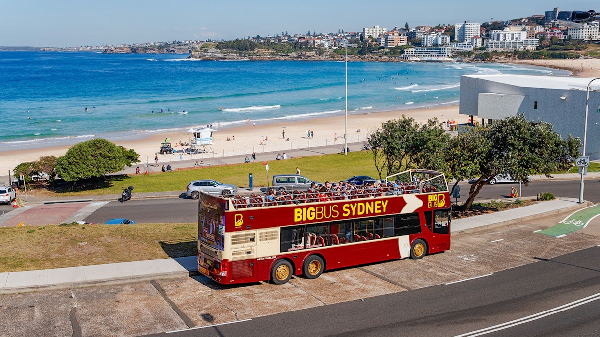 Big Bus Hop-On Hop-Off Tour-4