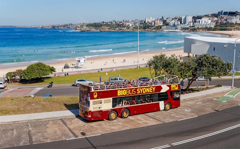 Big Bus Parking para Android - Download