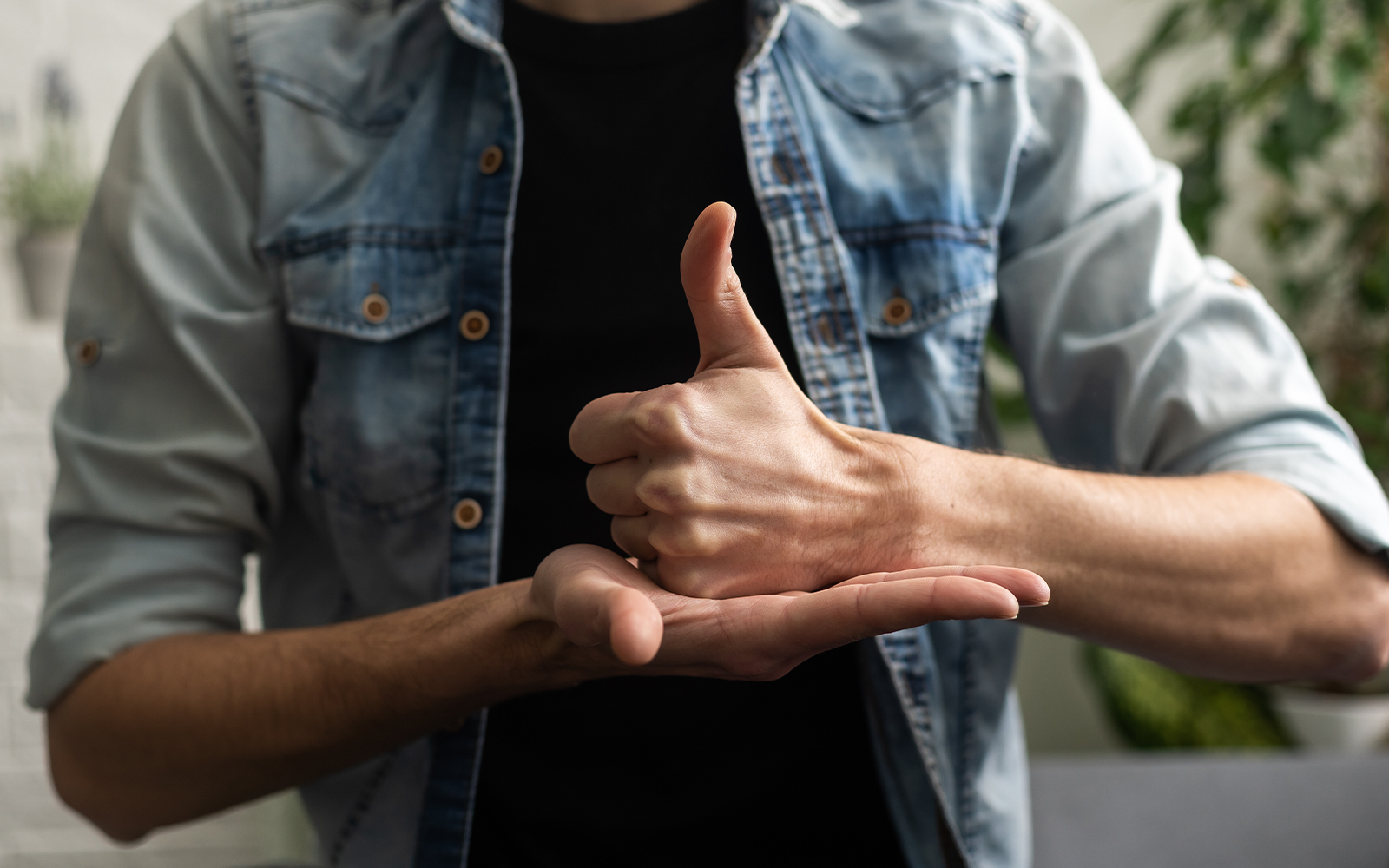 Sign language interpreter
