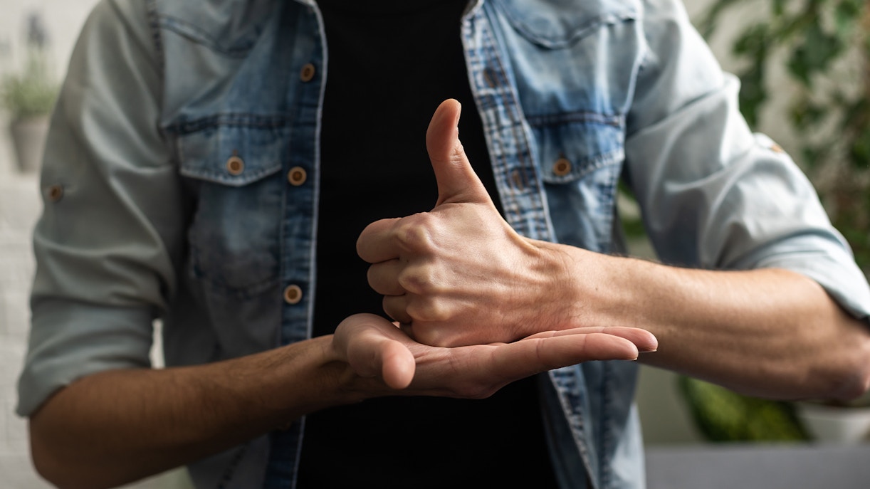 Sign language interpreter