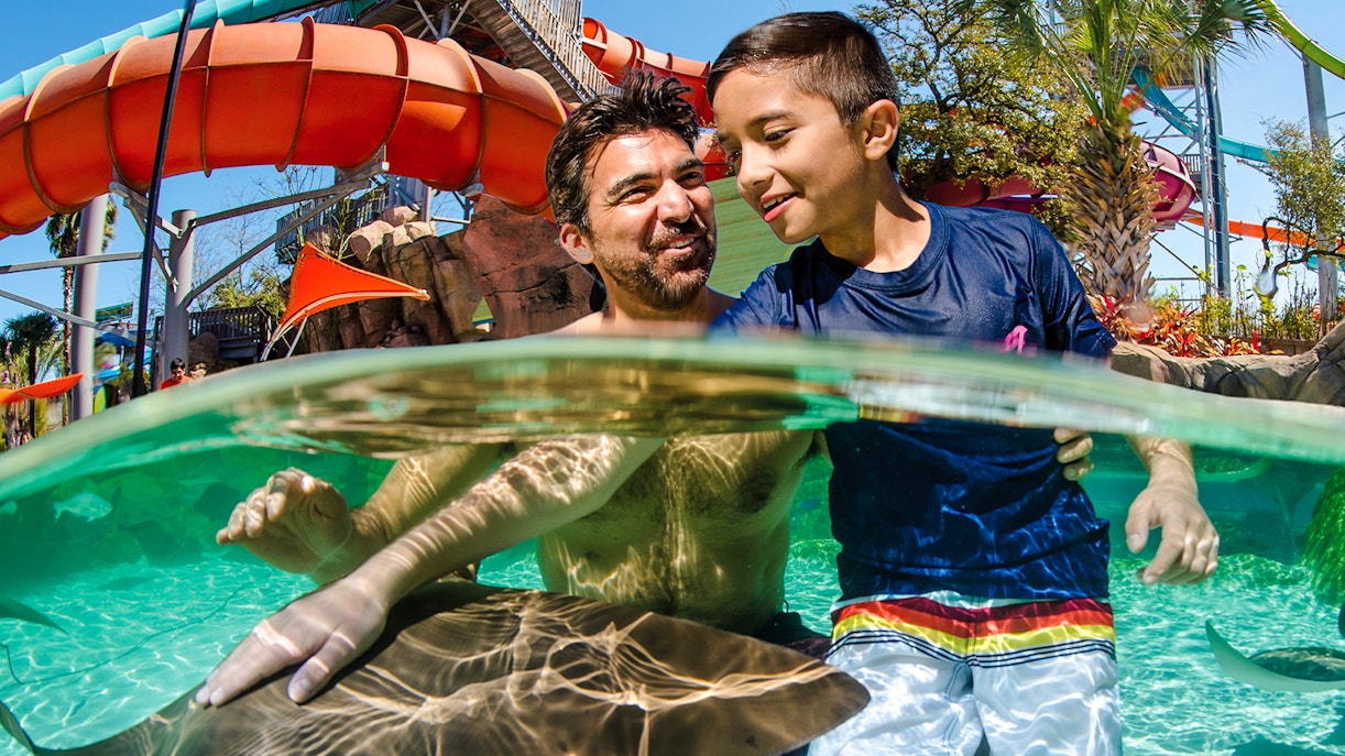 Father and son interacting with a stingray at SeaWorld San Antonio.