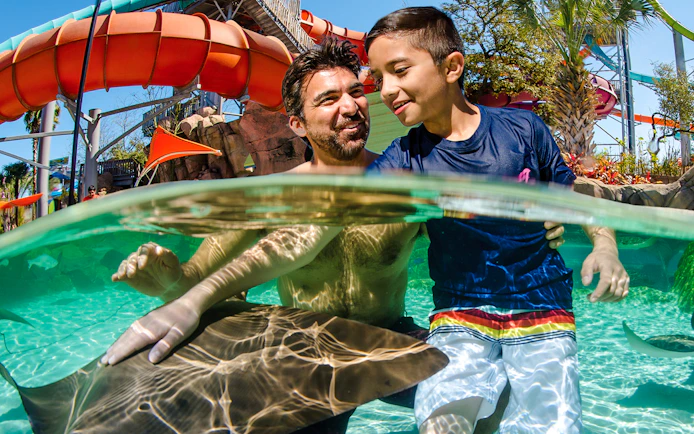 Father and son interacting with a stingray at SeaWorld San Antonio.