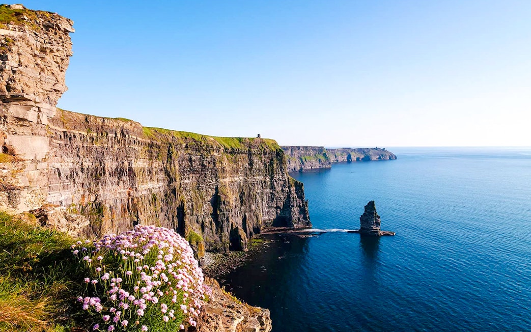 Cliffs of Moher overlooking the Atlantic Ocean with wildflowers in the foreground.