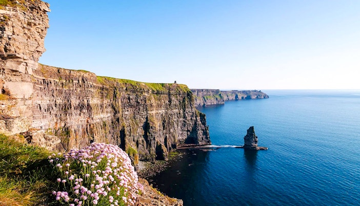 Cliffs of Moher overlooking the Atlantic Ocean with wildflowers in the foreground.