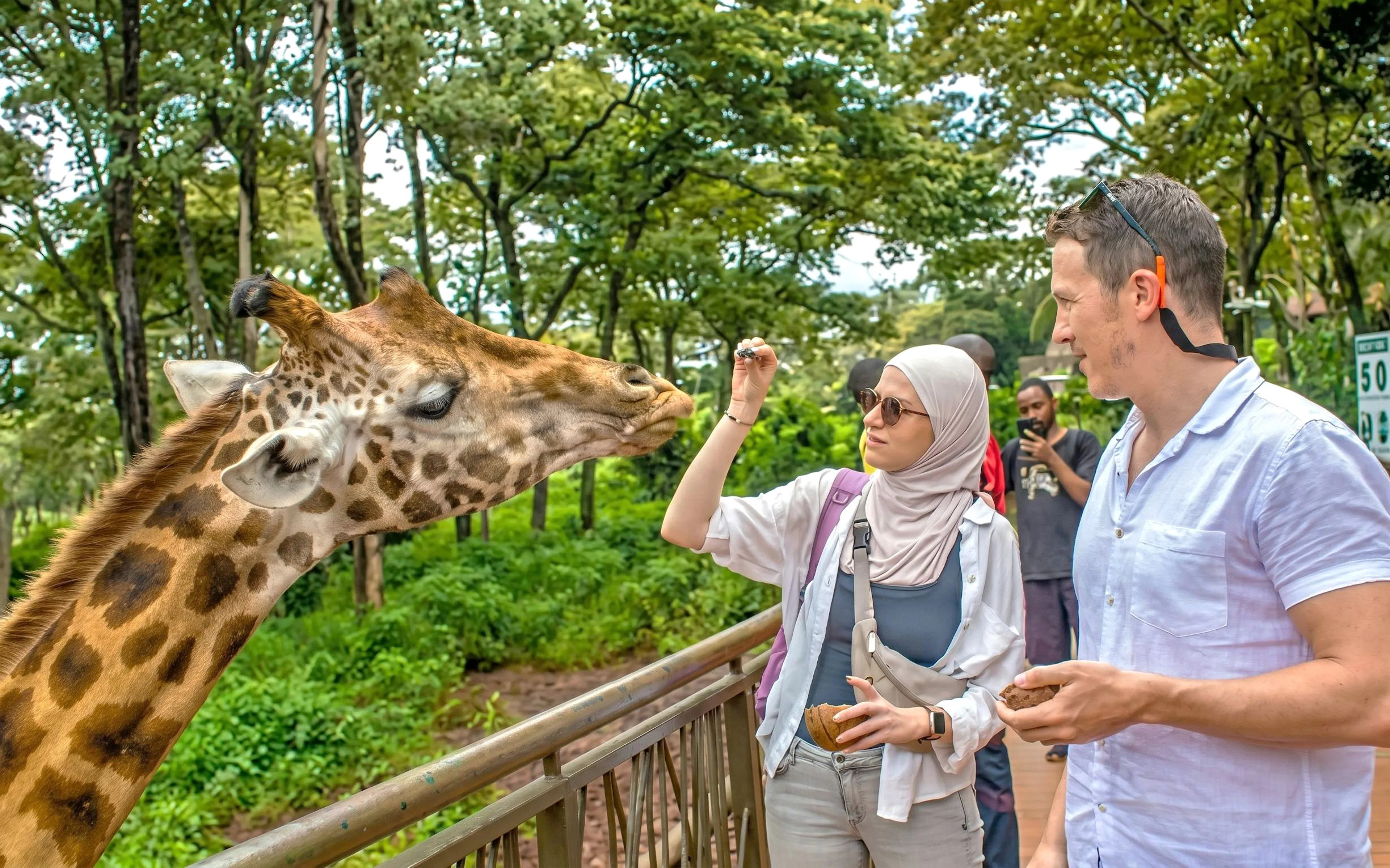 Couple feeding a giraffe at the Giraffe Centre in Nairobi.