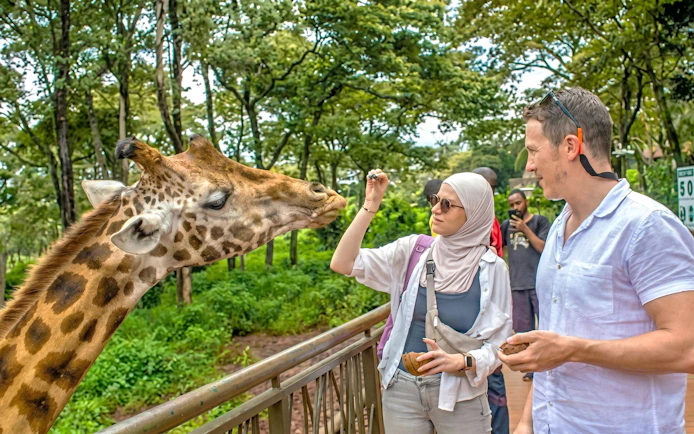 Couple feeding a giraffe at the Giraffe Centre in Nairobi.