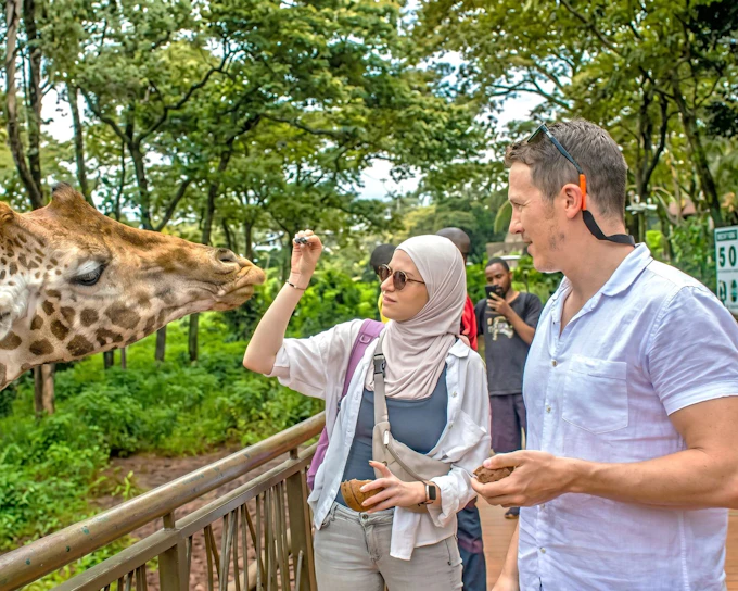 Nairobi: Guided Giraffe Center Experience & Nature Trail Tour