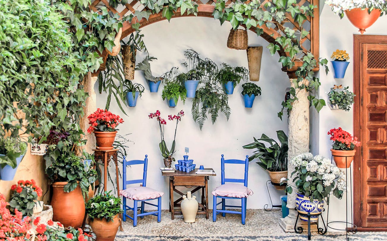 Patio in Cordoba with blue chairs, potted plants, and hanging greenery.