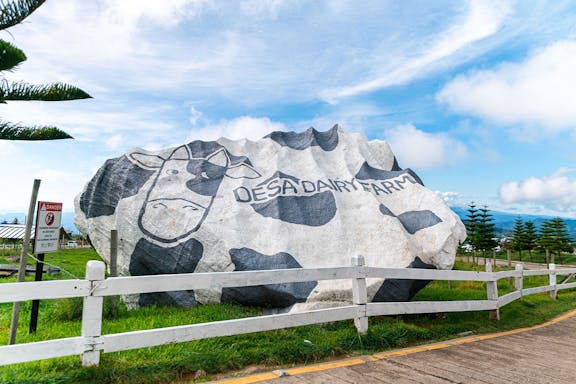 mount kinabalu 4-in-1 guided day tour with lunch-5
