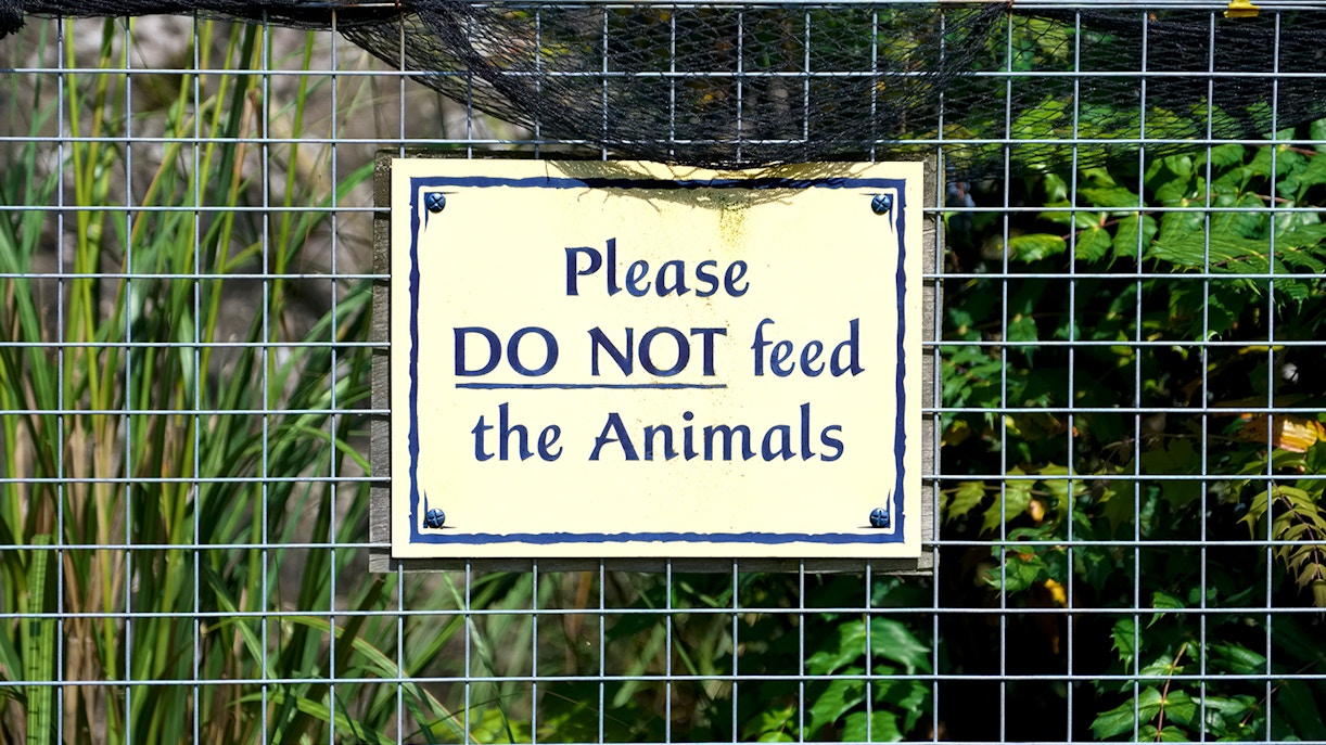 zoo leipzig