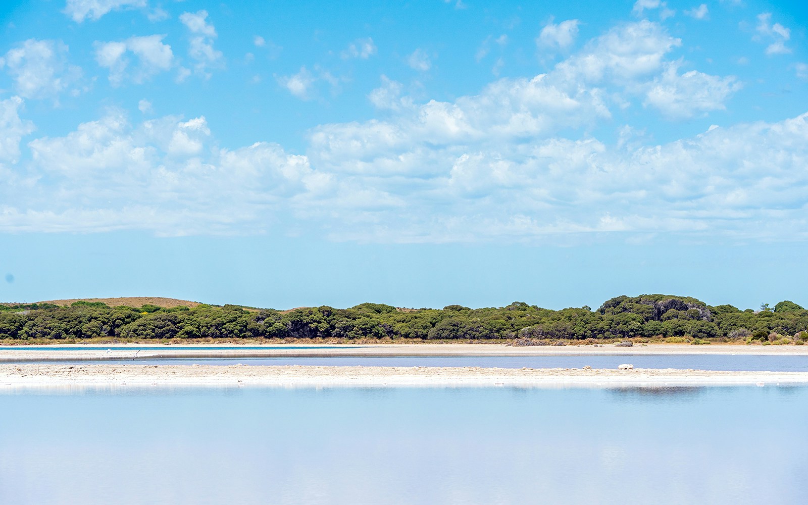 Salt lakes with surrounding greenery on Rottnest Island, Western Australia.