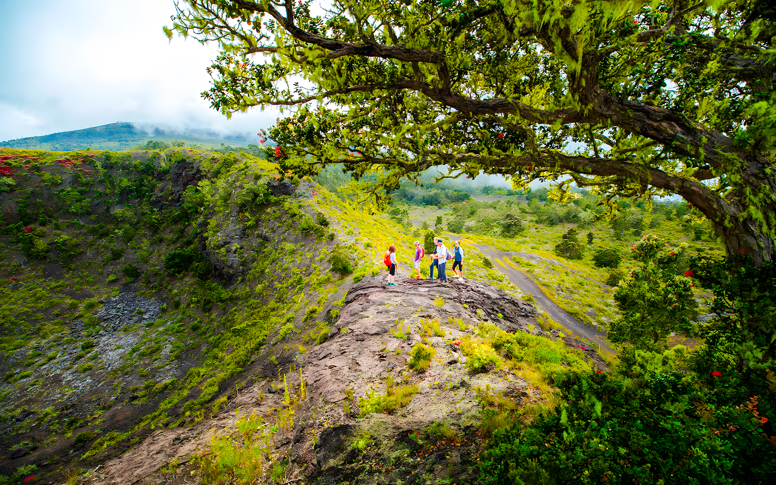 Guide with guests at the edge of Hualalai volcano crater, Hawaii, surrounded by lush greenery.
