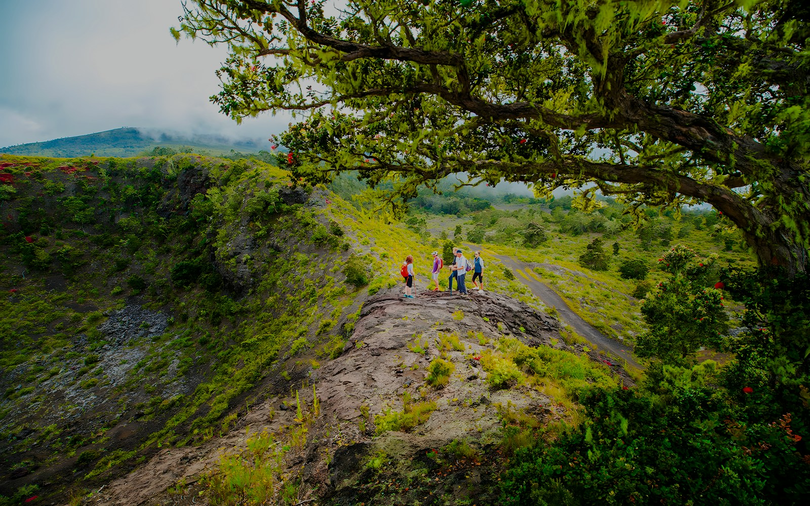 Guide with guests at the edge of Hualalai volcano crater, Hawaii, surrounded by lush greenery.