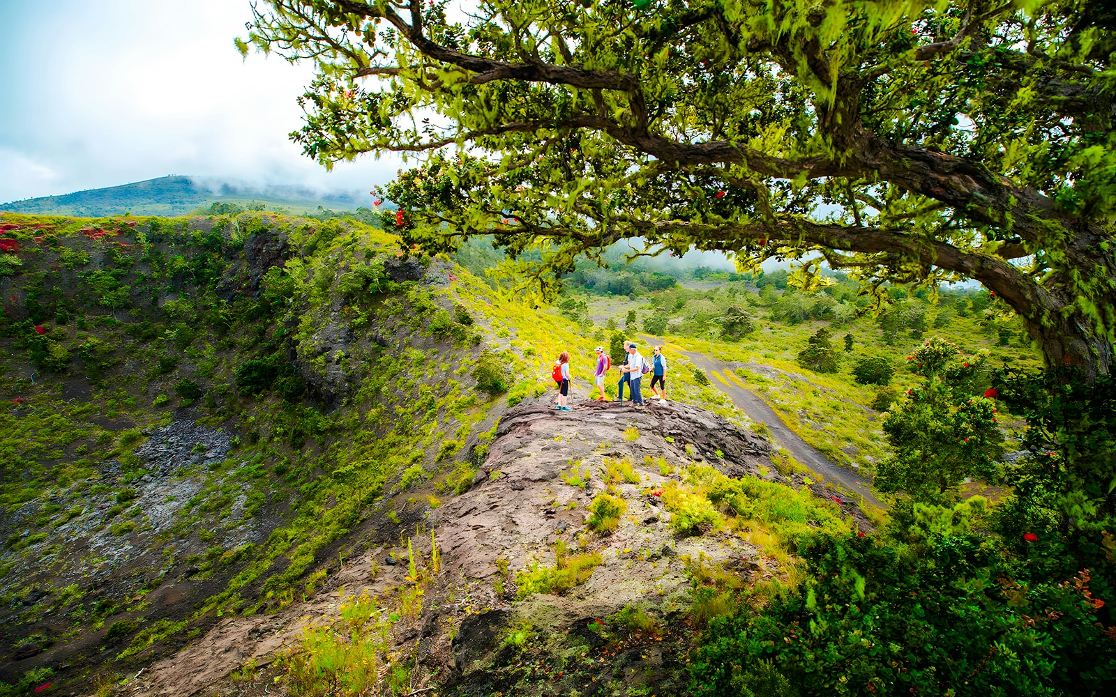 Guide with guests at Hualalai volcano crater edge, lush landscape in background.