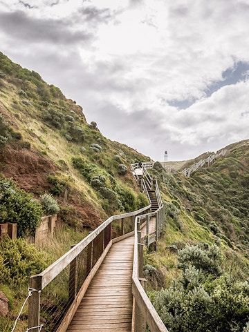 Wooden boardwalk winding through lush hillside near Melbourne's Peninsula Hot Springs.