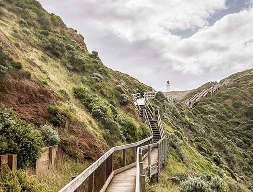 Wooden boardwalk winding through lush hillside near Melbourne's Peninsula Hot Springs.