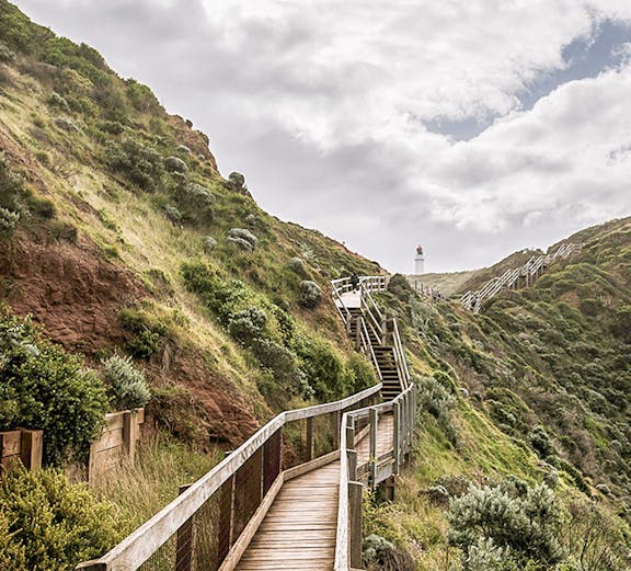 Wooden boardwalk winding through lush hillside near Melbourne's Peninsula Hot Springs.