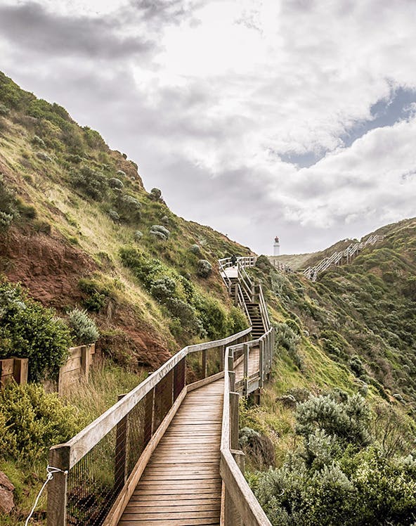 Wooden boardwalk winding through lush hillside near Melbourne's Peninsula Hot Springs.