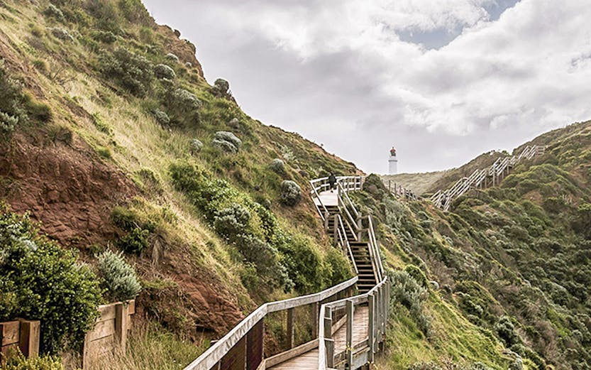 Wooden boardwalk winding through lush hillside near Melbourne's Peninsula Hot Springs.