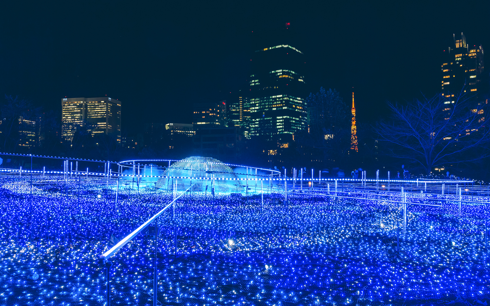 Stroll Tokyo Midtown’s Starlight Garden