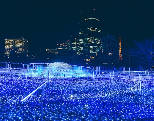 Stroll Tokyo Midtown’s Starlight Garden
