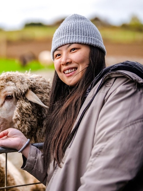 Visitors feeding sheep at a farm in Te Anau.