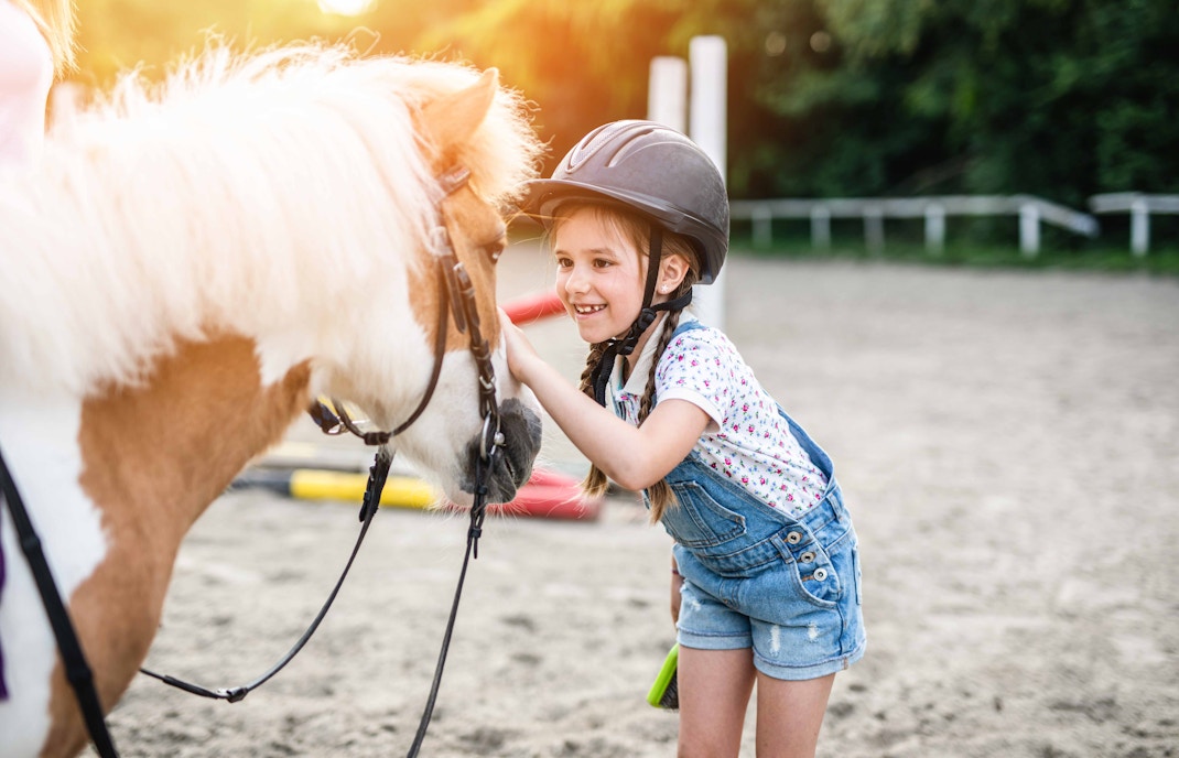 Farm in the City Malaysia tickets - Pony Ride