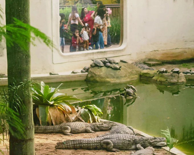 BioParque do Rio Entry Ticket