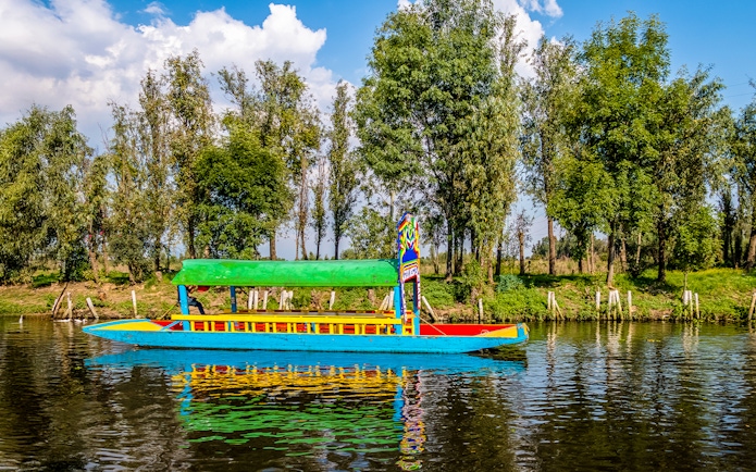 Colorful trajinera boat on Xochimilco canal, Mexico City, with trees in the background.
