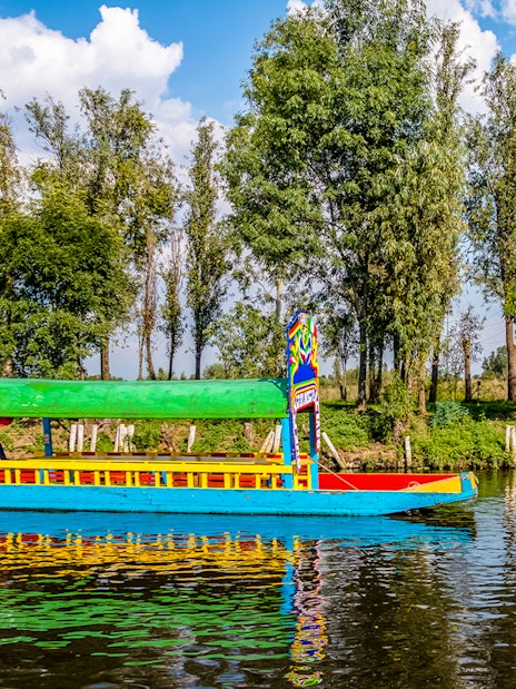 Colorful trajinera boat on Xochimilco canal, Mexico City, with trees in the background.