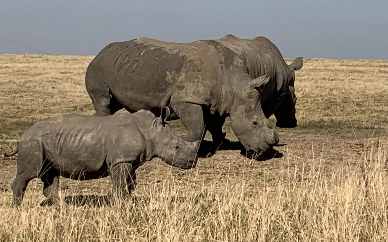 Durban Private Multi-Day Tour with Safari, Township, and Cultural Experiences Image 10