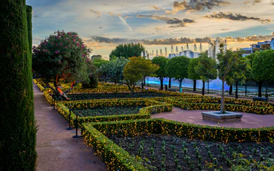 Alcazar of Cordoba garden illuminated at night with fountains and trees.