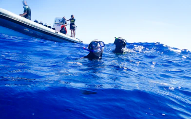Snorkelers in the ocean near a boat, São Miguel dolphin tour, Ponta Delgada.