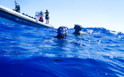 Snorkelers in the ocean near a boat, São Miguel dolphin tour, Ponta Delgada.